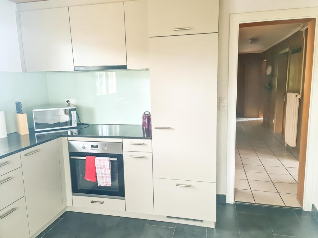 Abendberg Apartment - Aare Jungfrau Ag Вільдерсвіль Екстер'єр фото