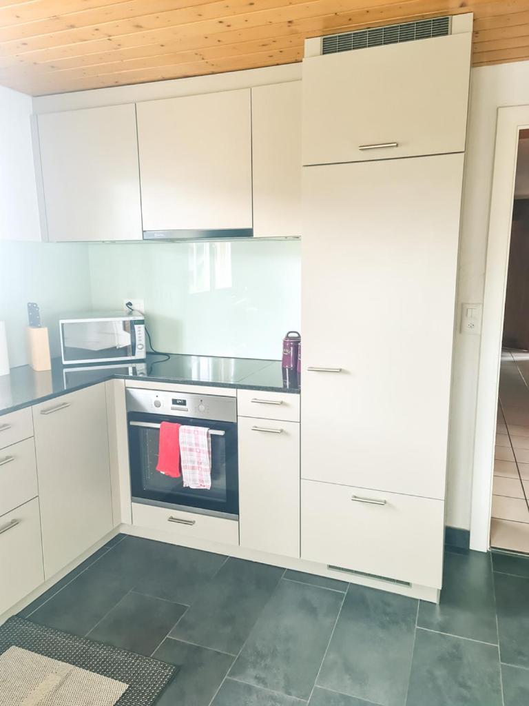 Abendberg Apartment - Aare Jungfrau Ag Вільдерсвіль Екстер'єр фото