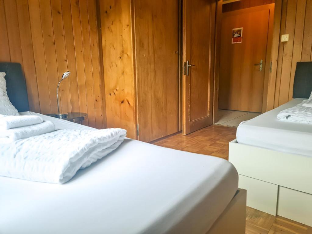 Abendberg Apartment - Aare Jungfrau Ag Вільдерсвіль Екстер'єр фото