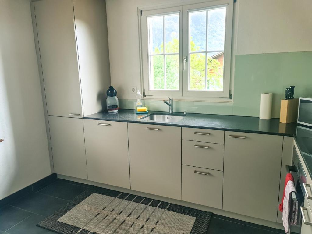 Abendberg Apartment - Aare Jungfrau Ag Вільдерсвіль Екстер'єр фото