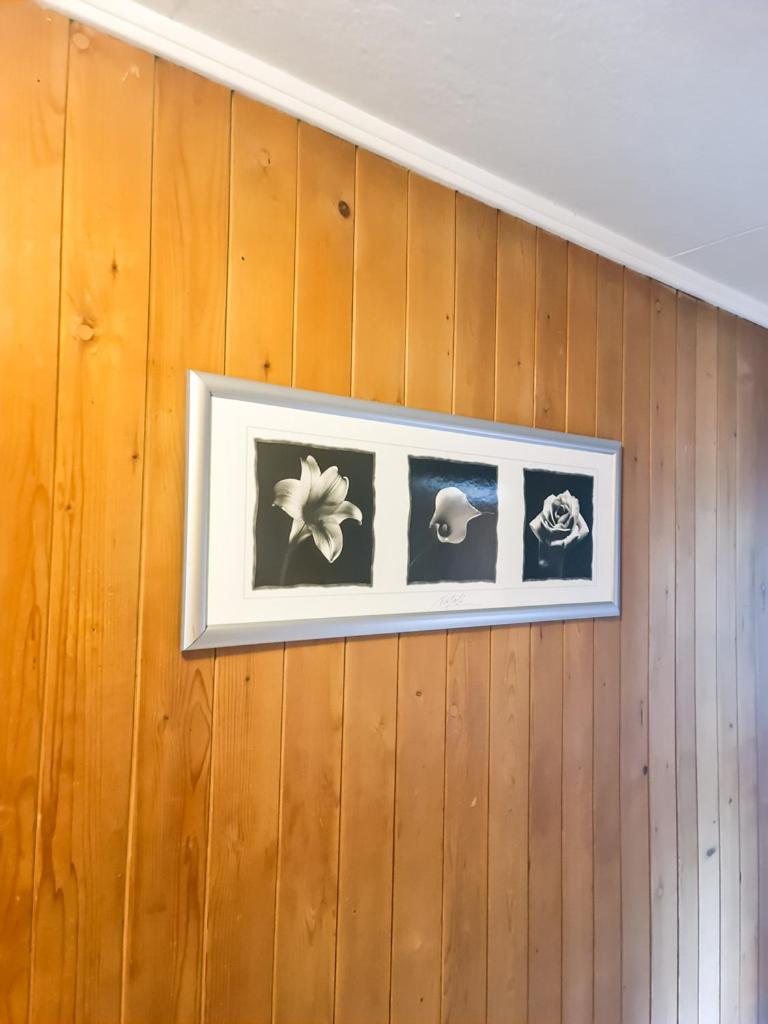 Abendberg Apartment - Aare Jungfrau Ag Вільдерсвіль Екстер'єр фото